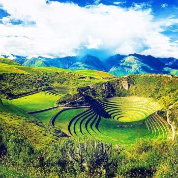 maras