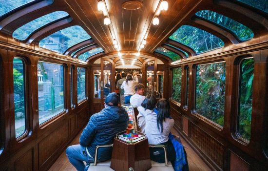 Tren vistadome observatory
